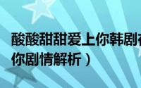 酸酸甜甜爱上你韩剧在线观看（酸酸甜甜爱上你剧情解析）