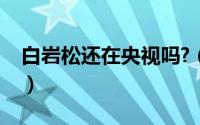 白岩松还在央视吗?（白岩松现在还在央视吗）