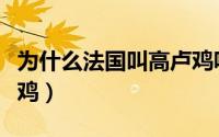 为什么法国叫高卢鸡呢（为什么法国又叫高卢鸡）