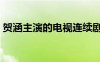 贺涵主演的电视连续剧（贺涵是什么电视剧）