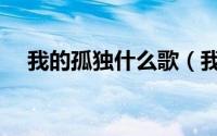 我的孤独什么歌（我的孤独原唱完整版）