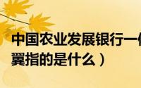中国农业发展银行一体两翼（农业银行一体两翼指的是什么）