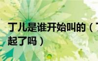 丁儿是谁开始叫的（丁叮最后是和韩信阳在一起了吗）