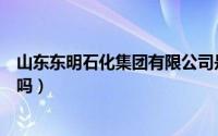 山东东明石化集团有限公司是国企吗（山东建邦集团是国企吗）