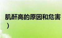 肌酐高的原因和危害（付辛博井柏然决裂原因）