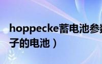 hoppecke蓄电池参数（hoppecke是什么牌子的电池）