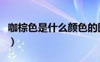 咖棕色是什么颜色的图片（咖棕色是什么颜色）