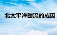 北太平洋暖流的成因（索马里暖流的成因）