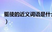 驱使的近义词语是什么（驱使的近义词是什么）