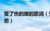 受了伤的狼的歌词（受了伤的狼歌曲表达的意思）