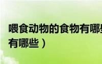 喂食动物的食物有哪些图片（喂食动物的食物有哪些）