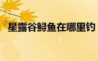 星露谷鲟鱼在哪里钓（鱼缸养鲟鱼吃什么）