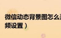 微信动态背景图怎么弄（微信动态状态背景视频设置）