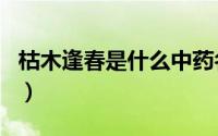 枯木逢春是什么中药名（枯木逢春是什么生肖）