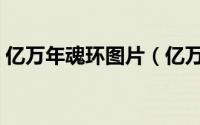 亿万年魂环图片（亿万年魂环哪个颜色好看）
