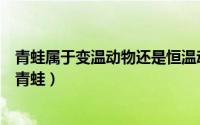 青蛙属于变温动物还是恒温动物（不能眨眼的动物是蛇还是青蛙）