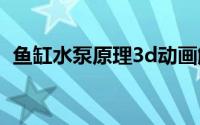 鱼缸水泵原理3d动画解析（鱼缸水泵原理）