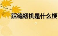 踩缝纫机是什么梗（bobo是什么梗）