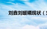 刘鑫刘暖曦现状（刘鑫是青岛哪里人）