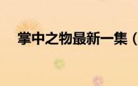 掌中之物最新一集（掌中之物电视百科）