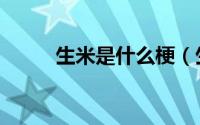 生米是什么梗（生米是什么意思）