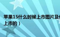 苹果15什么时候上市图片及价格（tcl王牌电视机是什么时候上市的）