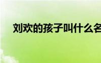 刘欢的孩子叫什么名字（刘欢几个小孩）
