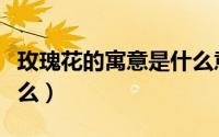 玫瑰花的寓意是什么意思（玫瑰花的寓意是什么）