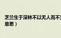 芝兰生于深林不以无人而不芳（深谷幽兰不以无人而不芳的意思）