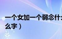 一个女加一个弱念什么（一个女加个弱字是什么字）