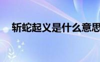 斩蛇起义是什么意思（zsqy是什么缩写）
