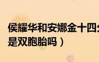 侯耀华和安娜金十四分钟视频（侯耀文侯耀华是双胞胎吗）