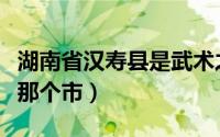 湖南省汉寿县是武术之乡吗（湖南省汉寿县是那个市）