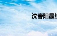 沈春阳最红的一首歌