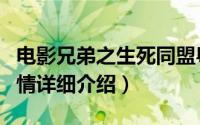 电影兄弟之生死同盟粤语（兄弟之生死同盟剧情详细介绍）