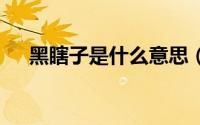 黑瞎子是什么意思（h鞋子是什么牌子）