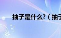 抽子是什么?（抽子沈阳话什么意思）