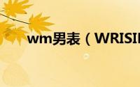wm男表（WRISIKAI男表什么牌子）