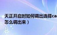 天正开启时如何调出选择cad版本（天正cad2015设置选项怎么调出来）