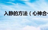 入静的方法（心神合一入静最简单的方法）