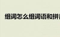 组词怎么组词语和拼音（了组词怎么组词）
