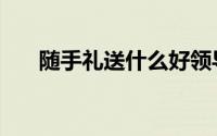 随手礼送什么好领导（随手礼送什么）