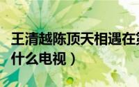 王清越陈顶天相遇在第几集（王清越陈顶天是什么电视）