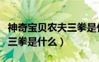 神奇宝贝农夫三拳是什么精灵（神奇宝贝农夫三拳是什么）