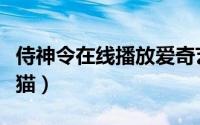 侍神令在线播放爱奇艺（侍神令剧情介绍电视猫）