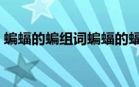 蝙蝠的蝙组词蝙蝠的蝠组词（蝙蝠的蝙组词）