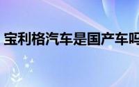 宝利格汽车是国产车吗（宝利格是什么品牌）