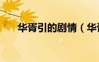 华胥引的剧情（华胥引原著真正结局）
