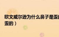 欧文威尔逊为什么鼻子是歪的呢（欧文威尔逊为什么鼻子是歪的）