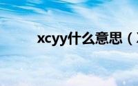 xcyy什么意思（XXY什么意思啊）